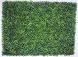 Mixed Boxwood Hedge Panels / Screens UV Resistant 1m x 1m V77-1014801