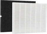 116130 Filter H HEPA Replacement Compatible with Winix 5500-2 Plasmawave Purifier and Winix AM80 V1258-DP02-WO-633