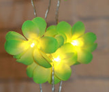 1 Set of 20 LED Green Frangipani Flower Battery String Lights Christmas Gift Home Wedding Party V382-GRFRANGIBATT20