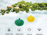 8pcs Hanging Fly Trap Ball Fruit Fly Catcher Sticky Trap Outdoor Pest Catcher for Garden Plants V1294-YM0718-10152618