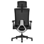 Lifespan Fitness DM9 Ergonomic Mesh High Back Office Chair V420-LFOC-DM9BK-1