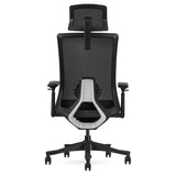 Lifespan Fitness DM9 Ergonomic Mesh High Back Office Chair V420-LFOC-DM9BK-1