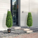 2 Pack 91.4cm Artificial Boxwood Topiary Tree Faux Plant UV Decor In/Outdoor V952-HYMRGXJS36YCXKYTZV0