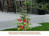 Weather Resistant Fiberglass Tomato Stakes with Square Trellis Frame for Garden Support, 1 Set V1370-AZ4-10806