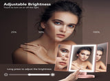 Lighted Makeup Mirror with 3 Color Lighting, Mirror with Extra Round 10X Magnifying Mirror,Dual V1192-AZ-W-15082