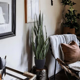 Artificial Snake Plant Sansevieria UV Resistant 90cm V637-DP75271