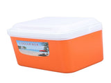 5L Portable Cooler Box Large Capacity Multifunctional Keeps Food Freshness and Drink Cool Insulated V1294-YM0901-3111240172013