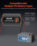 12V 60A DC to DC Battery Charger, 750W, On-Board Battery Charger for Lead-Acid, Lithium, AGM, GEL, V952-ZLDZLDDYSRCDKMGQMV9