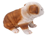 English Bulldog Puppy Statue Lifelike Resin Bulldog Sculpture for Garden Lawn Porch Decoration V1294-YM0703-3111230093412