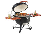 Portable Charcoal Propane Gas Grills with Cover and Cart, Heavy Duty Stainless Steel BBQ V952-TCYXLYC243700Y92IV0