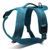 True Love Heavy Duty Sports Dog Harness - Blue, L ZAP-TLH5551-19