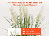 Artificial Grass Plant, 2 Pack 1499mm Faux Reed Flower Grass in Pot, Premium PVC Fake Greenery V952-DPKLWHLS59IND2ABK001V0