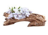 Artificial Driftwood Planter Resin Succulent Planter Vintage Tree Root Stump Log Like Flower V1294-YM0710-3111230268511