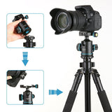 Tripod Ball Head 360 Degree Rotating Panoramic Ball Head for Tripod Monopod Slider DSLR Camera with V1366-AZ2-W-18419