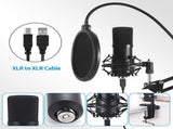 USB Streaming Podcast PC Microphone Professional Computer Mic 192kHz/24bit Cardioid Condenser Mic V1369-AZ3-W-22107