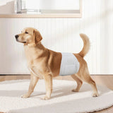 VEVOR Disposable Male Dog Diapers Super Absorbent Male Dog Wraps M Size 96 Count V952-CWNBFDGG96PMPUZWY001V0