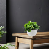 Large Resin Indoor Plant Pot Lightweight Round Planter for Living Room Plants V1369-AZ3-W-14187