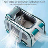 Pet Travel Bag Soft Sided Mesh Carrier Breathable Collapsible, Yellow V1188-MS-611-092