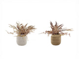 Set 2 Mixed Dried Flowers in Ceramic Jar 28cm V637-45118FLW