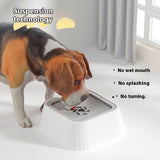 Carried Pet Water Bowl Dog, Splash-Free, Anti-Choking Dog Bowl,Slow Feeder Fit into Basic Bowls V1370-AZ4-04526