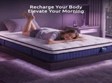 Levitex King Single Mattress 23CM With Pocket Spring & Cooling Gel Foam, Medium-Firm Full-Body MATTRESS-F-SYNC-23-KS