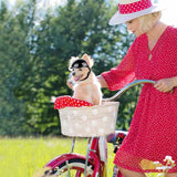 Size L Black Pet Safety Helmet - Stylish Protective Headgear for Dogs V888-ELOSUNG17322