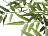 Premium Potted Artificial Black Bamboo Tree UV Resistant 180cm V637-DP119589B