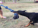 Spring Pole Dog Rope Toy Dog Tug of War Toy Outdoor Hanging Exercise Rope for Pet V1294-YM0717-10117304