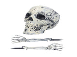 Skeleton Decor Cosplay DIY Multifunctional Lifelike Compact Scary Halloween Skeleton V1294-YM0710-3115210178811