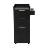 Artiss Professional Salon Station Rolling Cart, Hair Styling Beauty Cabinet with 2 Drawers, Large FUR-AD-SAL-03-BK