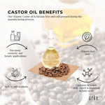 100ml Organic Castor Oil - Hexane Free Cold Pressed Anti Oxidant Skin Hair Care V238-SUPDZ-40037330026576