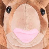 Triceratops Plush Slippers Winter Autumn and Winter Cartoon Men and Women Indoor Cotton Slippers V1294-YM0727-180911XM08-1