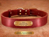 Premium Genuine Leather Dog Collar/Durable Real Leather Adjustable Collars For Male Female V1188-MS-430-1674-11