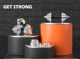 20KG Chrome Dumbbell Set Weight Dumbbells Home Gym Training Fitness BarBell Case V610-GYM-DUM-20KG-SIL