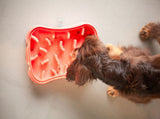 4-in-1 Slow Feeder Dog Bowl - Warm Ocean Red Bowl with Teal Lickmat V1023-SF-4IN1-OR