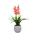 100cm Faux Artificial Home Decor Potted Cymbidium-Red/White - White V915-MB0028-WH