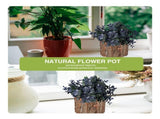 2Pcs Natural Wood Flowerpot Brown Creative Flower Bucket for Garden Succulent Plant Holder V1369-AZ3-W-15631