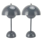 Cordless Table Lamp Iron Touch Dimmable USB Rechargeable Modern LED Bedside Reading Lamp with V1294-YM0901-3119230159512