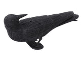 Realistic Elbow Crow Statue Plastic Waterproof Crow Decoys for Yard Garden Patios Halloween V1294-YM0703-3111230100011