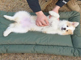 High-Quality Pet Portable Moisture-Proof Mattress, 120x80cm Large Size, Foldable for Storage, V1232-GGLYC005