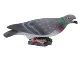 Simulation Pigeon Synthetic Resin Vivid Simulation Bird for Home Decoration Holiday Decoration V1294-YM0717-3111220242811