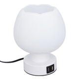 Table Lamp Touch Control 3 Brightness Levels 3000K Warm Light E26 Bulb Holder with Dual USB Ports V1294-YM0901-3119240097511