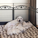 HeavyDuty Metal Dog Playpen w/ Waterproof Border V178-66735