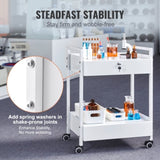 VEVOR Lab Cart, 2 Tiers Stainless Steel Utility Cart, Medical Cart with 2 Drawers, Rolling Lab Cart V952-SYSSTCB4Q235238MLV0
