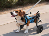 Dog Wheelchair for Back Legs, Adjustable 2 Wheels Pet Wheelchair, Lightweight Dog Cart with V952-CWLYLLSXHSLLCWMCK001V0