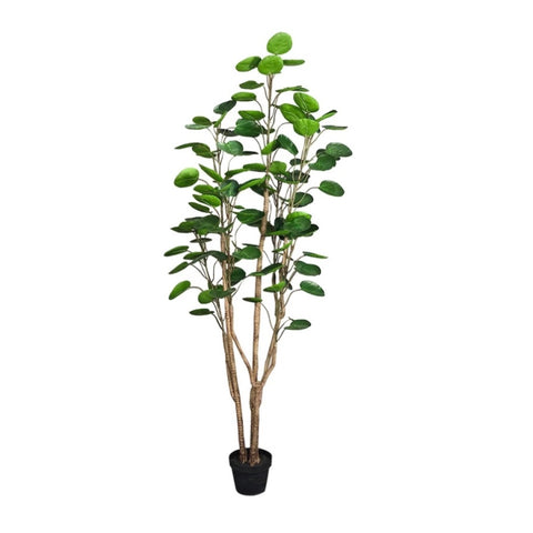 SOGA 150cm Plastic Potted Polyscias Scutellaria Plant Home Garden Artificial Tree, Home Decor APLANTFHJQD150102