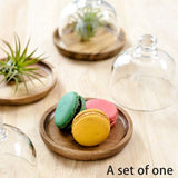 3X Multifunctional Mini Dessert Serving Stand Cake Dish with Dome Lid Platter Cake Plate for Home V1366-AZ2-W-15712