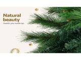 Jingle Jollys Christmas Tree 1.8M Xmas Tree Decorations Pine Needles 1024 Tips XM-TR-FULL-6F-PINE