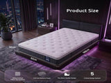 Levitex Single Mattress Lumbar Support 5-Zone Individual Pocket Spring 30CM MATTRESS-F-CORE-30-S