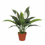 Artificial Spathiphyllum Peace Lily Plant with White Flowers 60cm V637-DP1188134